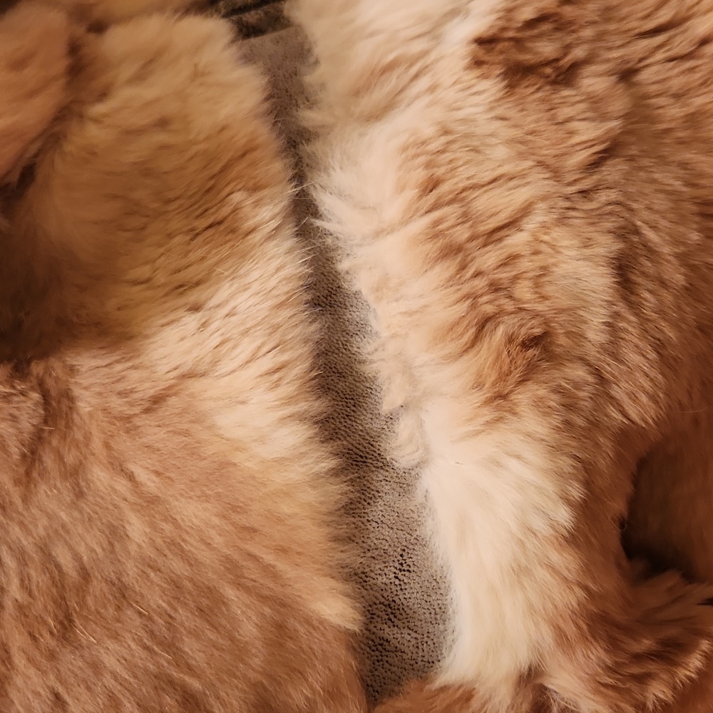 Vintage June  genuine natural rabbit fur and leather details  jacket  size M - Picture 7 of 17